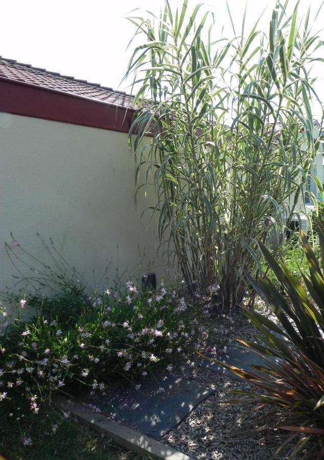 La Cle De Vos Reves Bed & Breakfast Orthevielle Exterior photo