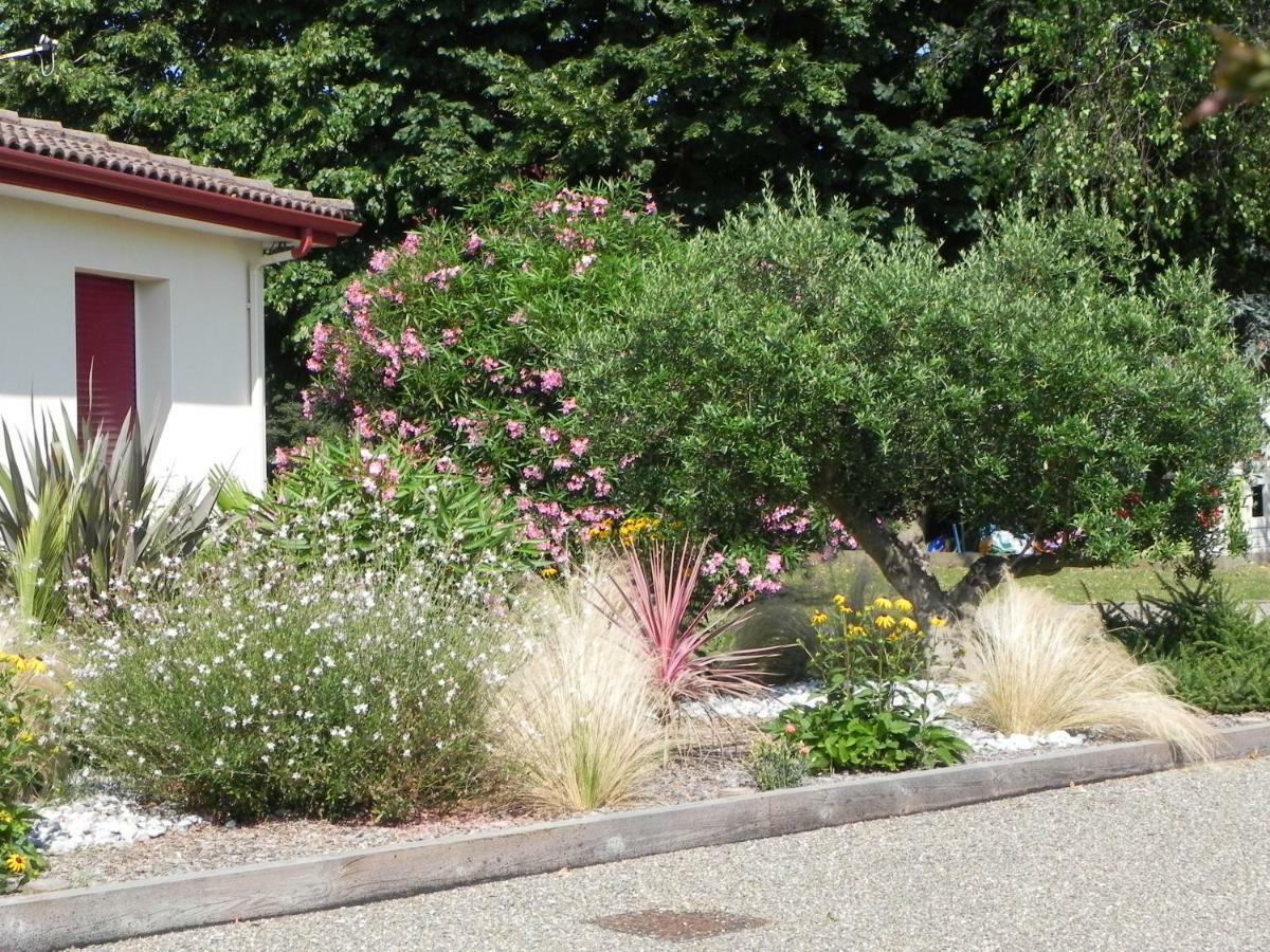 La Cle De Vos Reves Bed & Breakfast Orthevielle Exterior photo