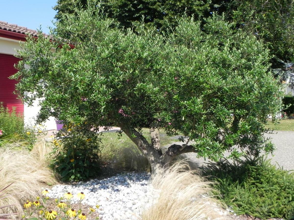La Cle De Vos Reves Bed & Breakfast Orthevielle Exterior photo